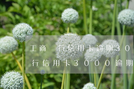 工商銀行信用卡逾期3000多少利息-工行信用卡3000逾期一年半大概會(huì)還多少錢