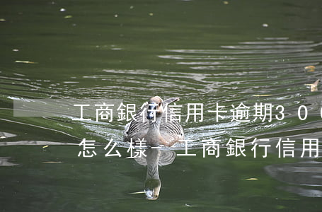 工商銀行信用卡逾期3000會(huì)怎么樣-工商銀行信用卡逾期3000會(huì)怎么樣嗎