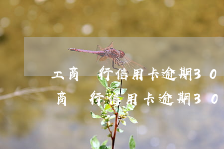 工商銀行信用卡逾期3000逾期一年-工商銀行信用卡逾期3000逾期一年會(huì)怎么樣
