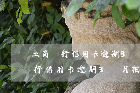 工商銀行信用卡逾期3個月被凍結-工商銀行信用卡逾期3個月被凍結會被起訴嗎