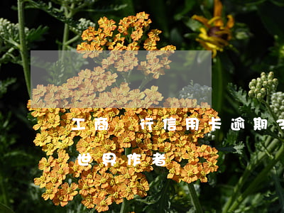 工商銀行信用卡逾期3年怎么減免(不知道的世界作者)
