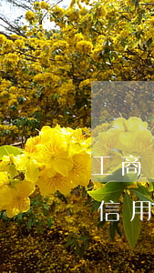 工商銀行信用卡逾期500十年-工商銀行信用卡逾期500十年會(huì)怎么樣