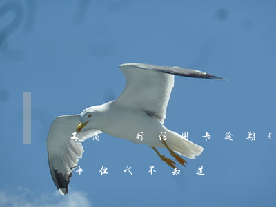工商銀行信用卡逾期50天(工行卡逾期十來年但我不知道)