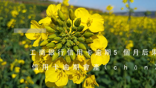 工商銀行信用卡逾期5個月后果 工商銀行的信用卡逾期會產(chǎn)生什么后果