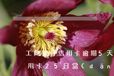 工商銀行信用卡逾期5天還款-工商銀行信用卡25日當(dāng)天還款