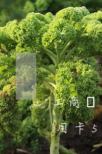 工商銀行信用卡逾期5年了沒還(工商銀行信用卡5萬3年沒有還)