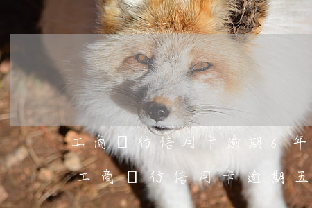 工商銀行信用卡逾期6年了怎么還-在中國工商銀行信用卡逾期五年
