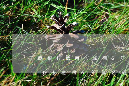 工商銀行信用卡逾期6年怎么還-工商銀行信用卡逾期6年怎么還款
