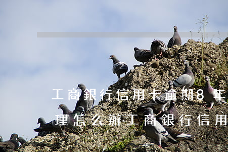 工商銀行信用卡逾期8年報(bào)案處理怎么辦（工商銀行信用卡逾期8年）