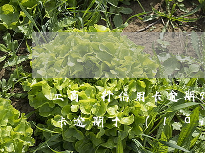 工商銀行信用卡逾期90個(gè)月(工行卡逾期十來(lái)年但我不知道)