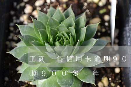 工商銀行信用卡逾期90(工商銀行信用卡逾期900多兩年)
