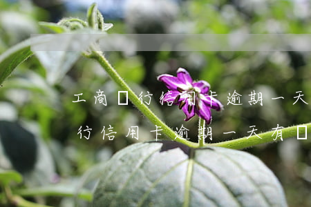 工商銀行信用卡逾期一天利息多少-工商銀行信用卡 逾期一天有沒(méi)有影響?