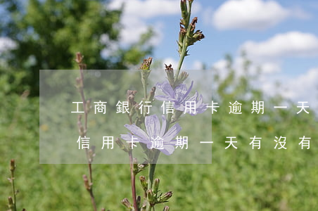 工商銀行信用卡逾期一天罰多少錢(工商銀行信用卡逾期一天有沒有影響?)