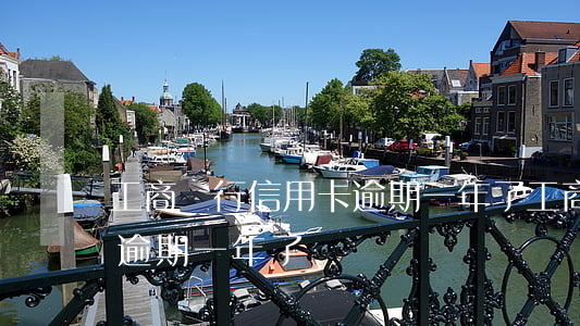 工商銀行信用卡逾期一年了(工商銀行信用卡逾期一年了)