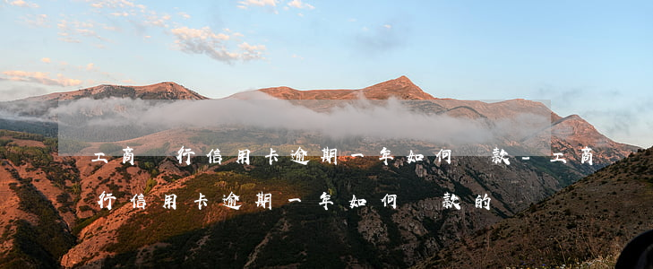 工商銀行信用卡逾期一年如何還款-工商銀行信用卡逾期一年如何還款的