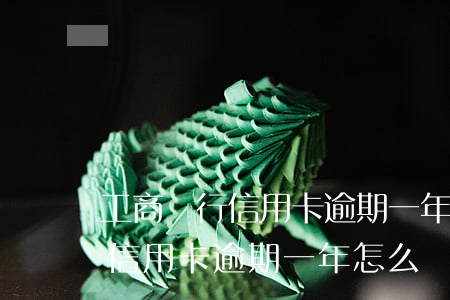 工商銀行信用卡逾期一年怎么辦-工商銀行信用卡逾期一年怎么辦啊