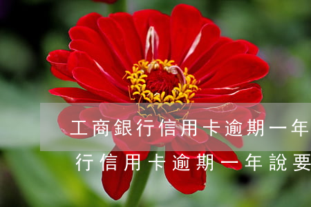 工商銀行信用卡逾期一年說要上門-工商銀行信用卡逾期一年說要上門核實(shí)