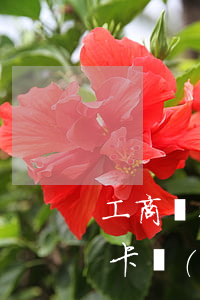 工商銀行信用卡逾期一直漲利息-工商銀行卡會(huì)漲利息嗎