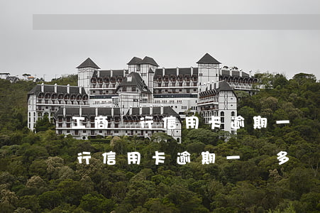 工商銀行信用卡逾期一萬多會怎樣-工商銀行信用卡逾期一萬多會怎樣呢