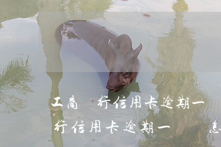 工商銀行信用卡逾期一萬會怎么樣-工商銀行信用卡逾期一萬會怎么樣嗎