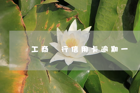 工商銀行信用卡逾期一萬起訴