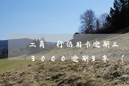 工商銀行信用卡逾期三個月后果(工行信用卡3000逾期3年應(yīng)還多少)