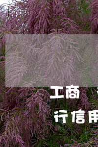 工商銀行信用卡逾期三天有沒有事-工商銀行信用卡逾期三天有沒有事啊