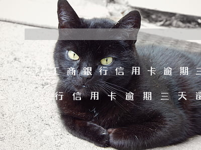 工商銀行信用卡逾期三天還款后果-工商銀行信用卡逾期三天還款后果是什么