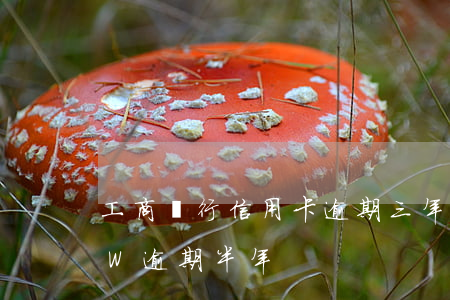 工商銀行信用卡逾期三年多了(工行信用卡4W逾期半年)