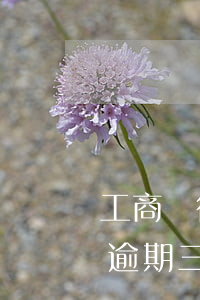 工商銀行信用卡逾期三年多(工商銀行信用卡逾期三年多現(xiàn)在怎么還)