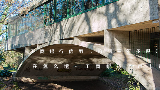工商銀行信用卡逾期三年多現(xiàn)在怎么還-工商銀行信用卡逾期三年多現(xiàn)在怎么還不了