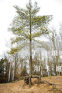 工商銀行信用卡逾期不能還款(工商銀行的信用卡逾期會產生什么后果)