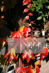 工商銀行信用卡逾期了30天-工商銀行信用卡逾期了30天怎么辦
