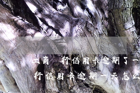 工商銀行信用卡逾期了一天怎么辦-工商銀行信用卡逾期一天怎么辦啊