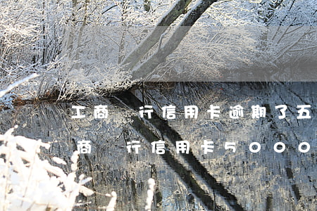工商銀行信用卡逾期了五萬(wàn)多(工商銀行信用卡5000逾期5年利息多少)