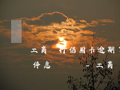 工商銀行信用卡逾期了可以協(xié)商停息掛賬嗎-工商銀行信用逾期了可以協(xié)商分期還款嗎