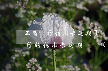 工商銀行信用卡逾期了還不進去了-工商銀行的信用卡逾期會產(chǎn)生什么后果