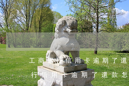 工商銀行信用卡逾期了還款怎么辦理（工商銀行信用卡逾期了還款怎么辦）