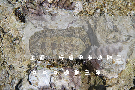 工商銀行信用卡逾期二萬(工商銀行信用卡5000逾期三年)