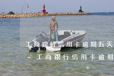 工商銀行信用卡逾期五天上征信可以取消嗎-工商銀行信用卡逾期五天上征信可以取消嗎