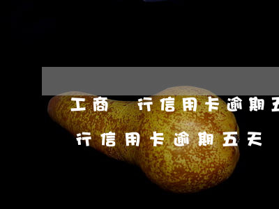 工商銀行信用卡逾期五天會怎么樣-工商銀行信用卡逾期五天會怎么樣嗎