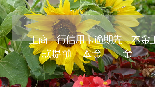 工商銀行信用卡逾期先還本金(工商銀行住房貸款提前還本金違約金)