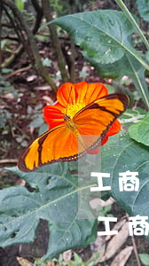 工商銀行信用卡逾期兩個月凍結(jié)(工商銀行信用卡逾期兩個月凍結(jié)了)