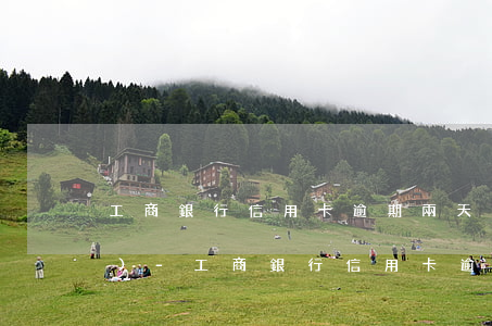 工商銀行信用卡逾期兩天就被凍結(jié)-工商銀行信用卡逾期兩天就被凍結(jié)了