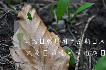 工商銀行信用卡逾期兩天會有不良記錄嗎-工商銀行信用卡逾期兩天會有不良記錄嗎