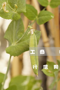 工商銀行信用卡逾期兩年怎么銷戶-工商銀行信用卡逾期兩年怎么銷戶了