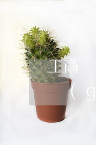 工商銀行信用卡逾期兩月(工商信用卡逾期半個(gè)月要不要緊)