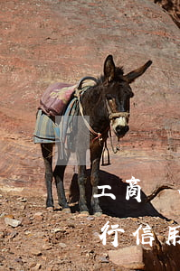 工商銀行信用卡逾期兩萬會怎么樣-工商銀行信用卡逾期兩萬會怎么樣嗎