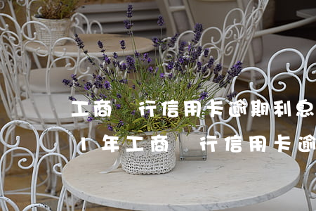 工商銀行信用卡逾期利息怎么減免-2021年工商銀行信用卡逾期新政策