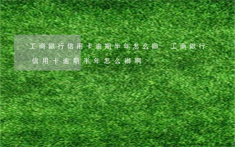 工商銀行信用卡逾期半年怎么辦-工商銀行信用卡逾期半年怎么辦啊